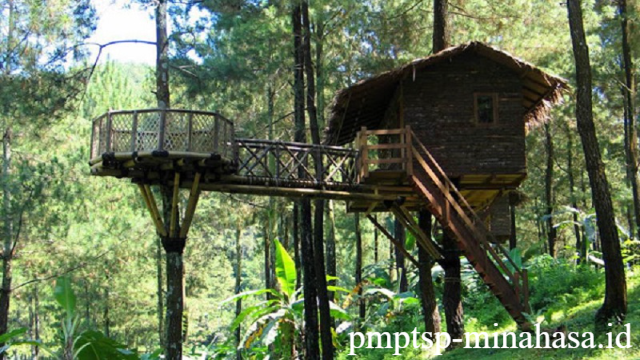 Pesona Rumah Hutan Serang: Destinasi Wisata Alam dan Edukasi